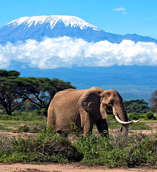 Mount Kilimanjaro